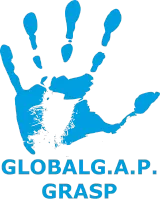 globalg.a.p. grasp