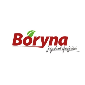 Logo Boryna – jagodowi specjaliści i partner PolskieTruskawki.pl, wspierający najwyższą jakość owoców jagodowych. Ekspert w uprawie i dystrybucji świeżych, aromatycznych owoców na europejski rynek.
